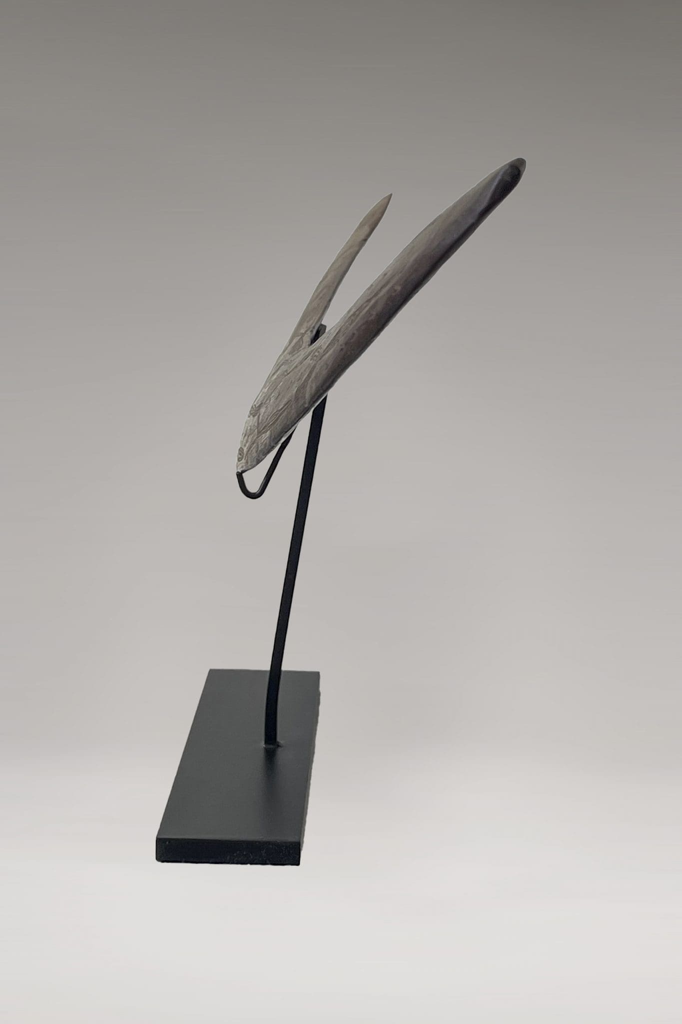 Gran Boomerang<br>"Oceanía - Siglo XX" - Imagen 5