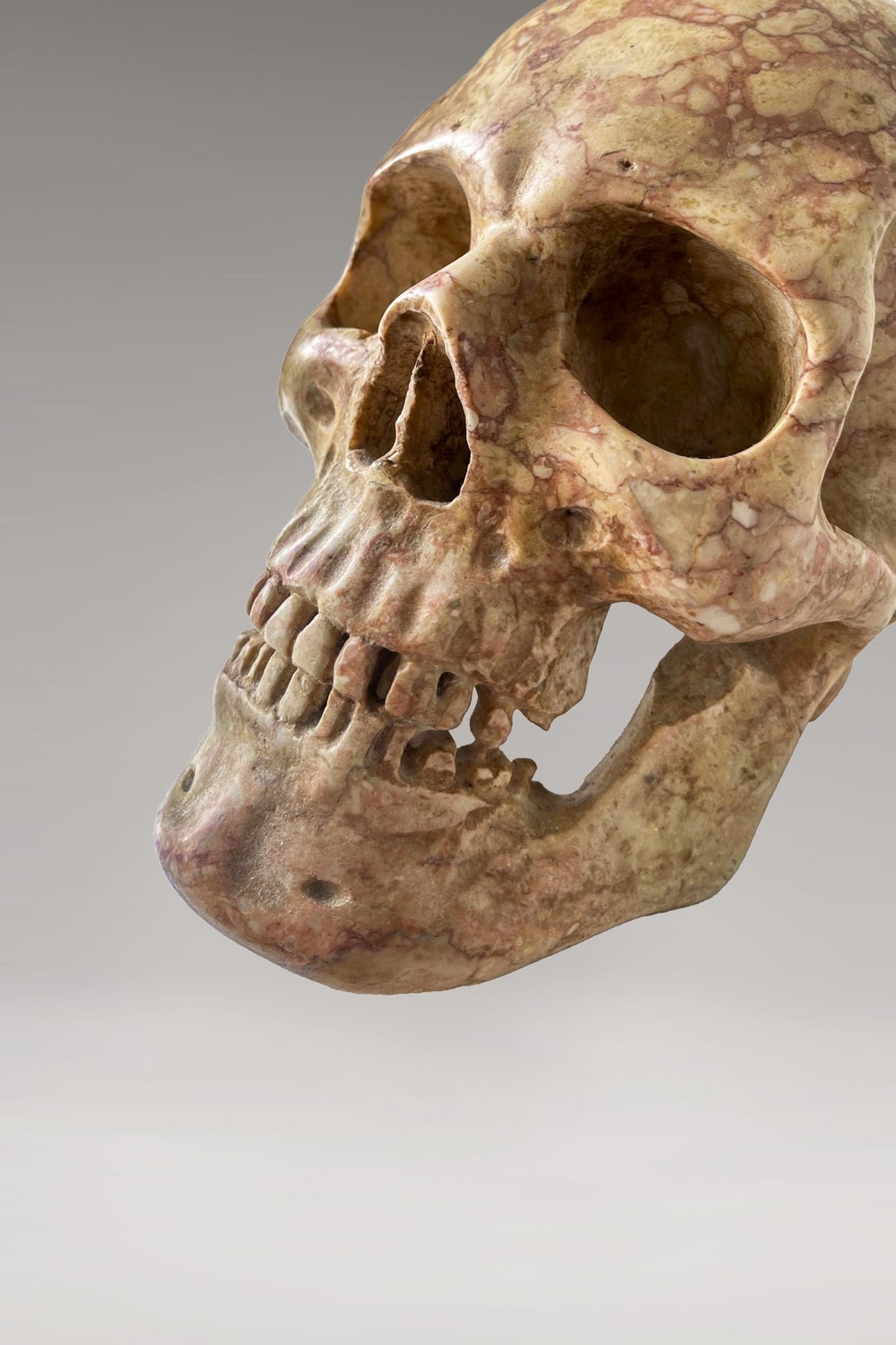 Calavera de Mármol <br>"Vanitas" - Imagen 5
