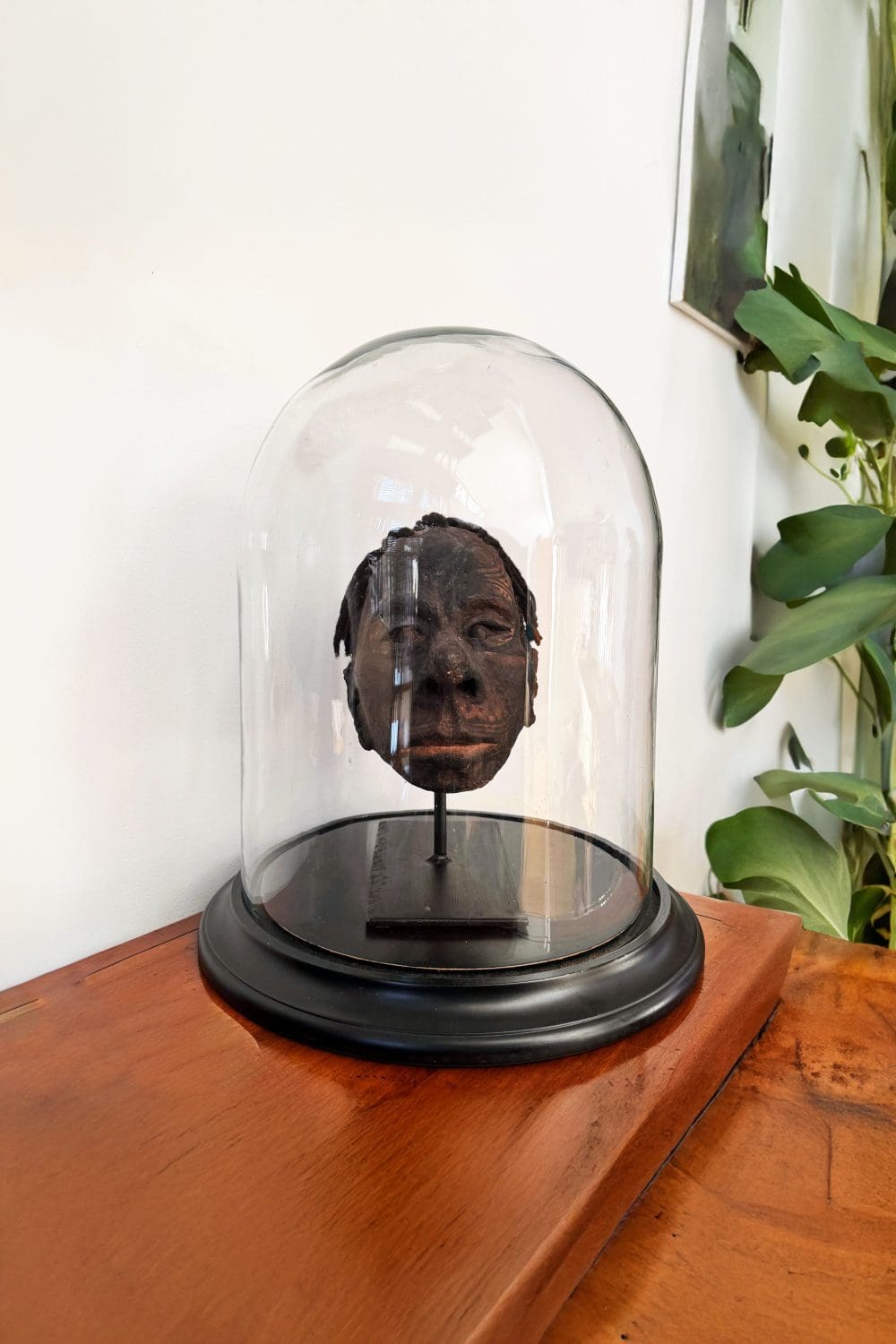 Cráneo Latmul<br>"Papua Nueva Guinea"