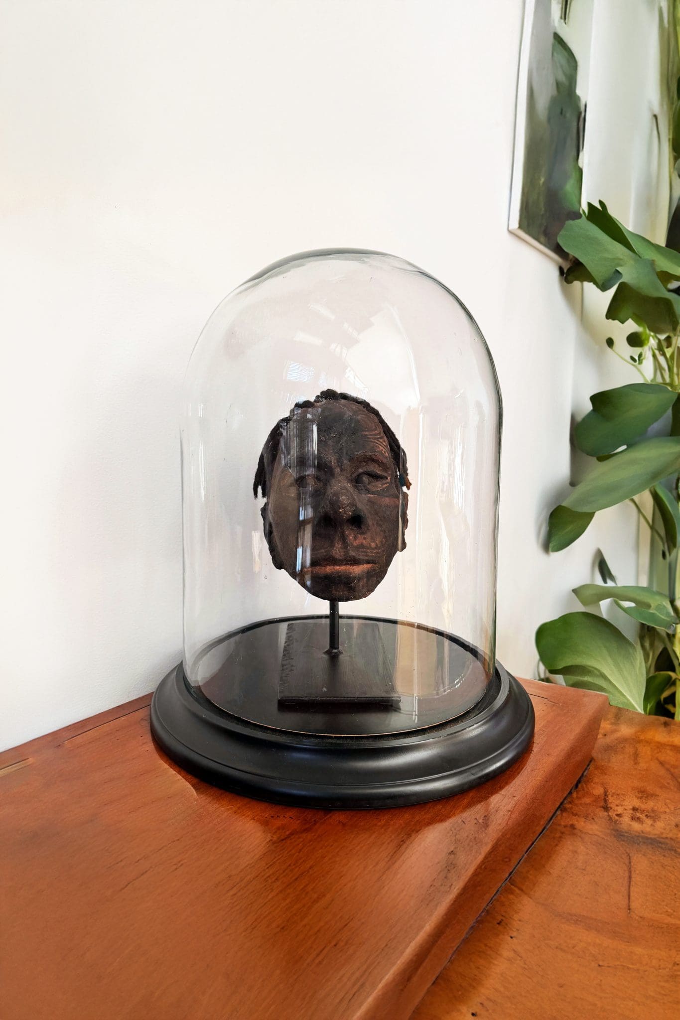 Cráneo Latmul<br>"Papua Nueva Guinea"