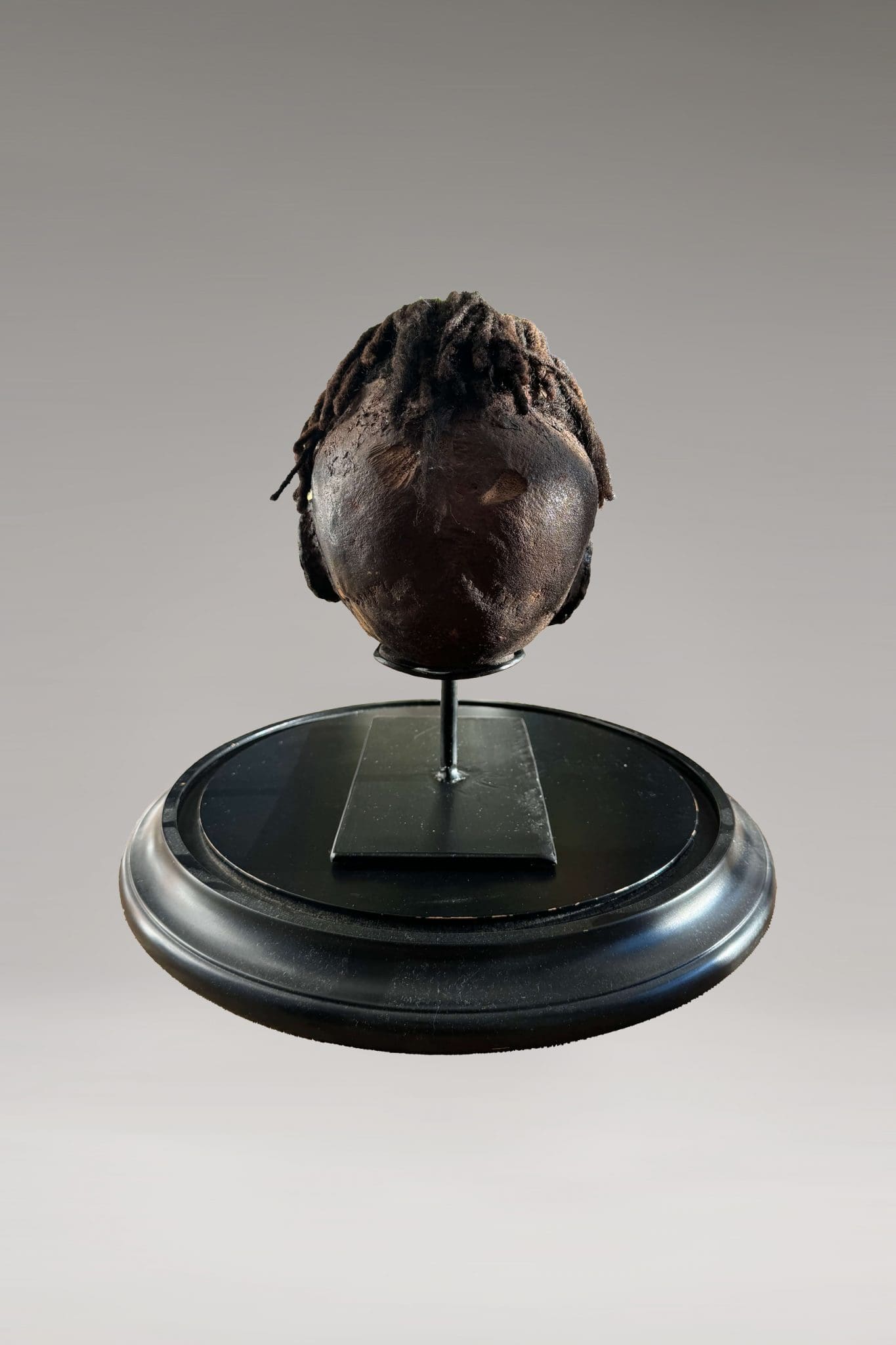 Cráneo Latmul<br>"Papua Nueva Guinea" - Imagen 7